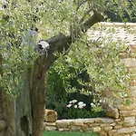 Le Mas De Foussargues