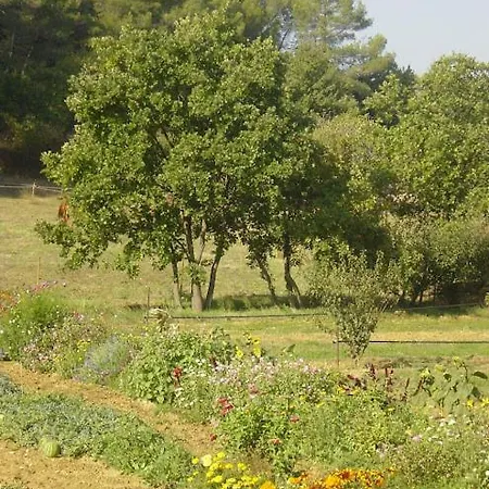 Gospodarstwo wiejskie Le Mas De Foussargues *