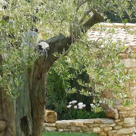 Le Mas De Foussargues