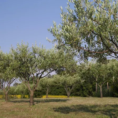 Le Mas De Foussargues Lantställe