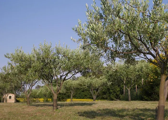 Le Mas De Foussargues Gospodarstwo wiejskie